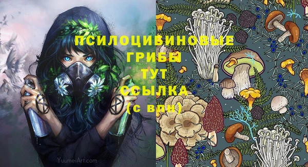 ECSTASY Балахна