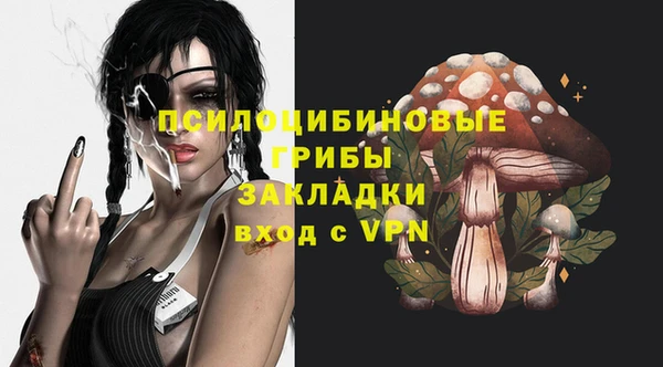 молекула духа Баксан